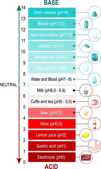 pH Scale of Common Substances